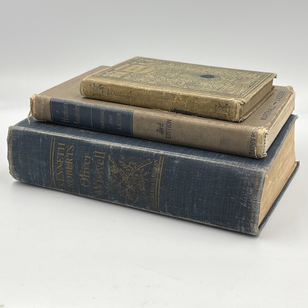 Vintage 3 Blue Brown Books Lot Staging Decor Retro Prop Shelf Mantle Centerpiece